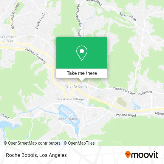 Roche Bobois map