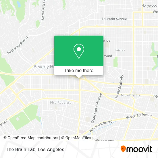 The Brain Lab map