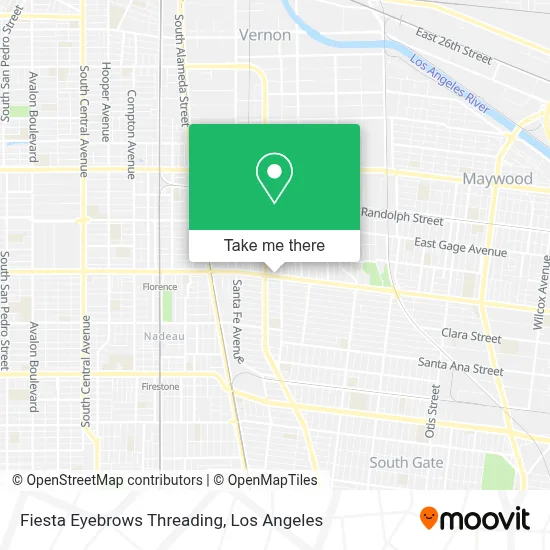 Fiesta Eyebrows Threading map