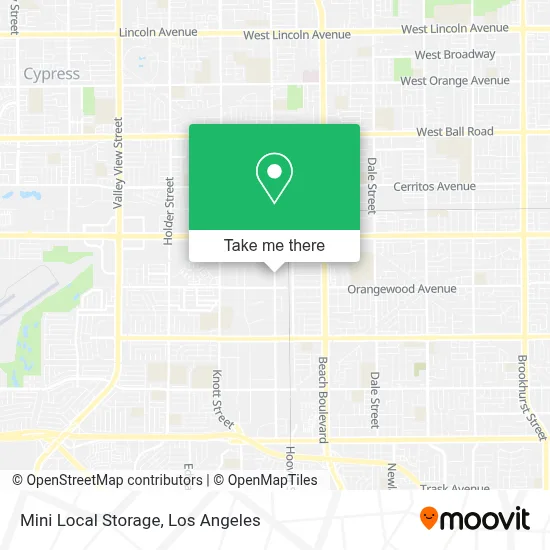Mini Local Storage map