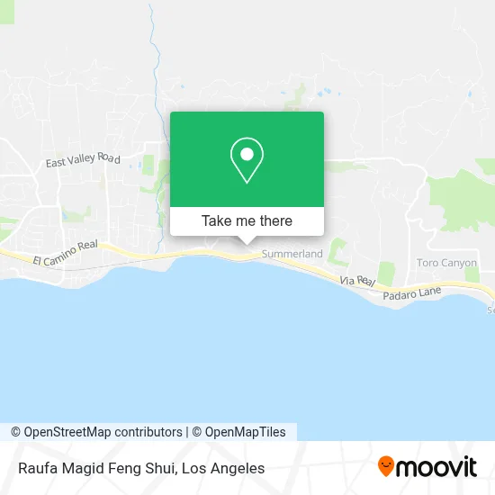 Raufa Magid Feng Shui map