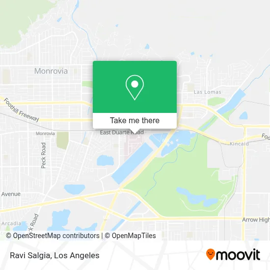 Ravi Salgia map