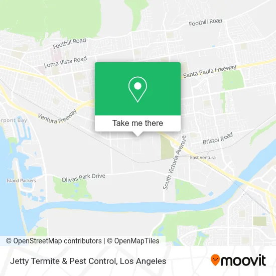 Jetty Termite & Pest Control map