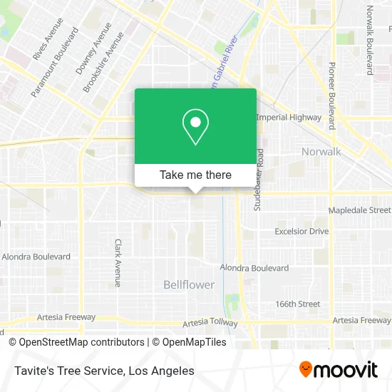 Tavite's Tree Service map