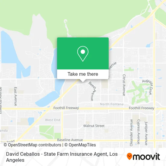 David Ceballos - State Farm Insurance Agent map