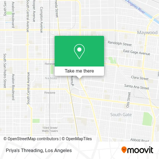 Priya's Threading map