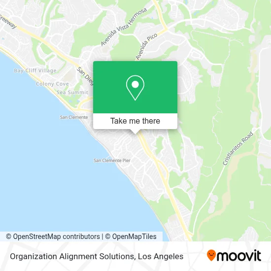Organization Alignment Solutions map