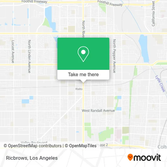 Ricbrows map