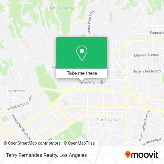 Terry Fernandes Realty map