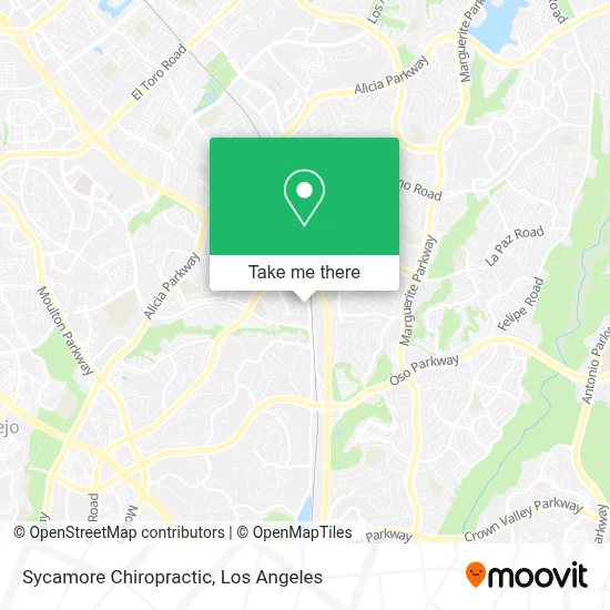 Sycamore Chiropractic map