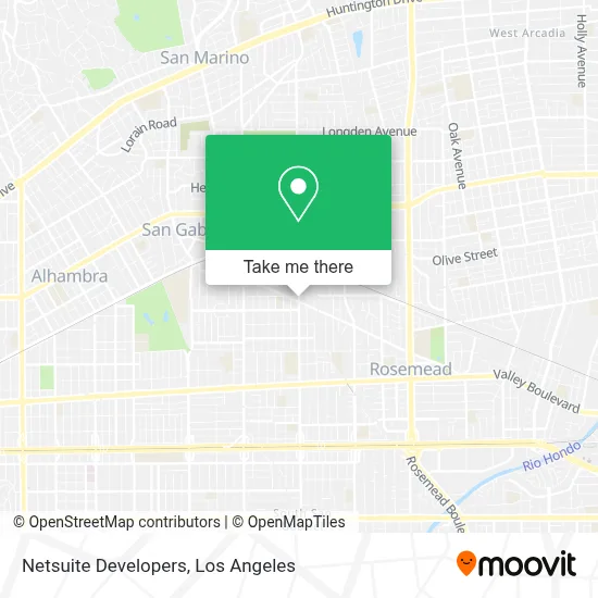Netsuite Developers map