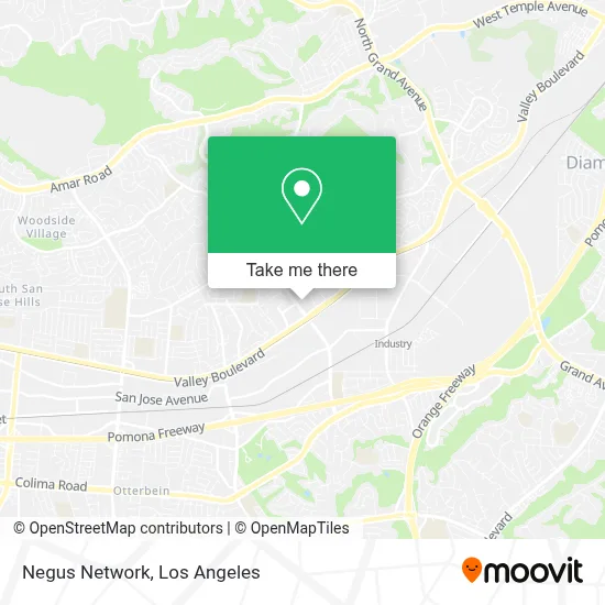 Negus Network map