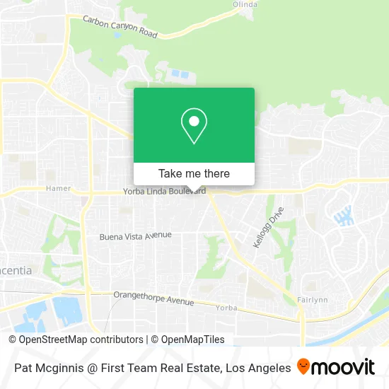 Pat Mcginnis @ First Team Real Estate map