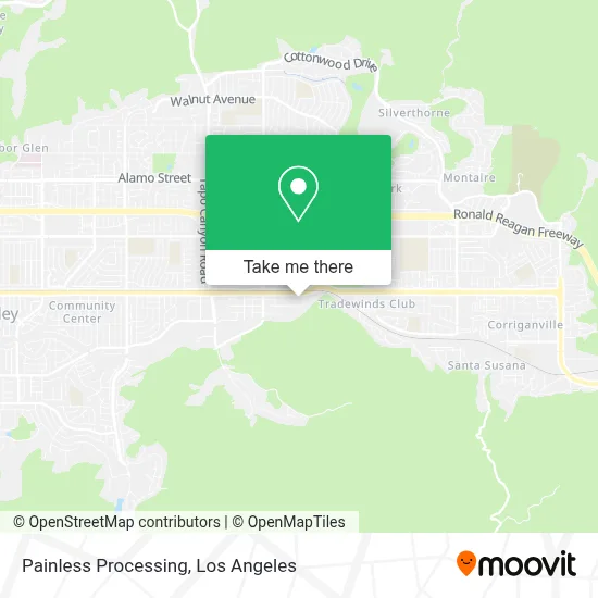 Painless Processing map