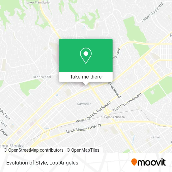 Evolution of Style map