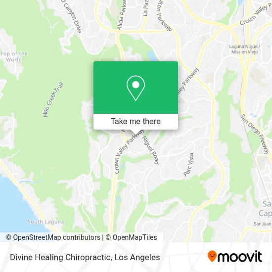Divine Healing Chiropractic map