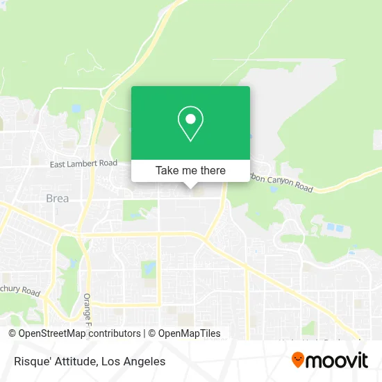 Risque' Attitude map