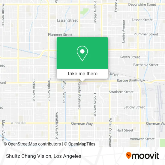 Shultz Chang Vision map