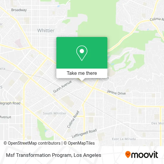 Msf Transformation Program map