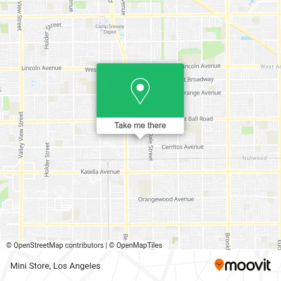 Mini Store map