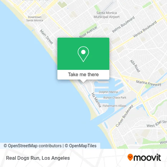 Real Dogs Run map