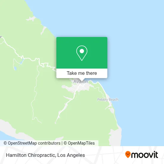 Hamilton Chiropractic map