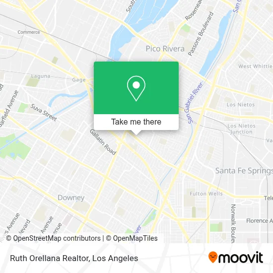Ruth Orellana Realtor map