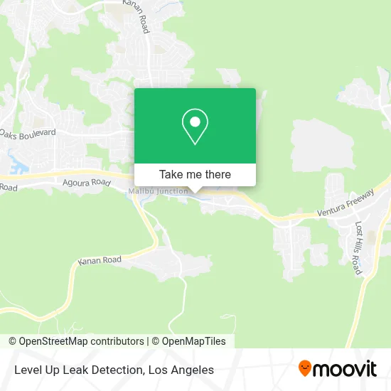 Level Up Leak Detection map