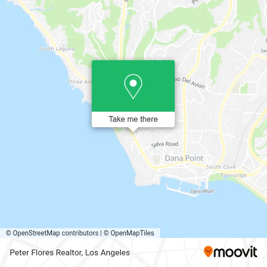 Peter Flores Realtor map