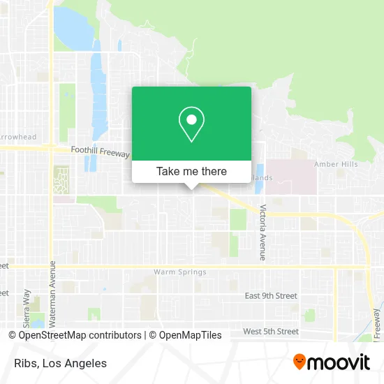 Ribs map