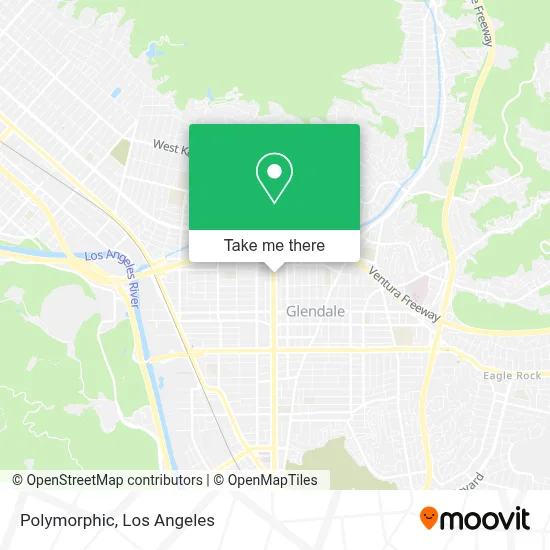 Polymorphic map