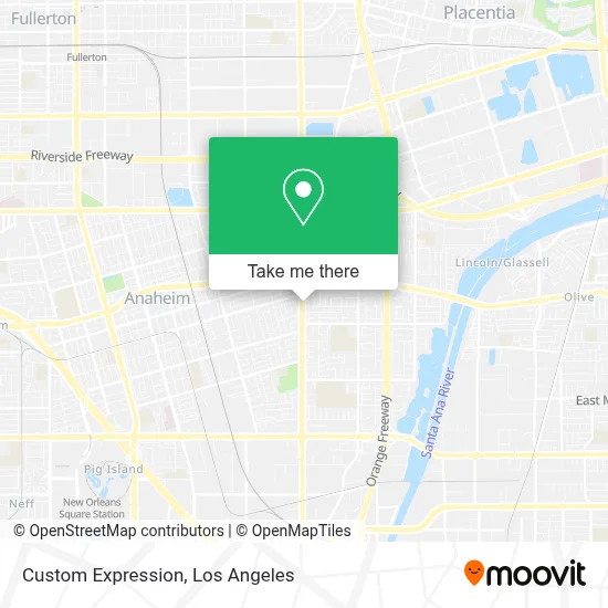 Custom Expression map