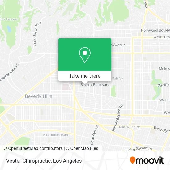 Vester Chiropractic map