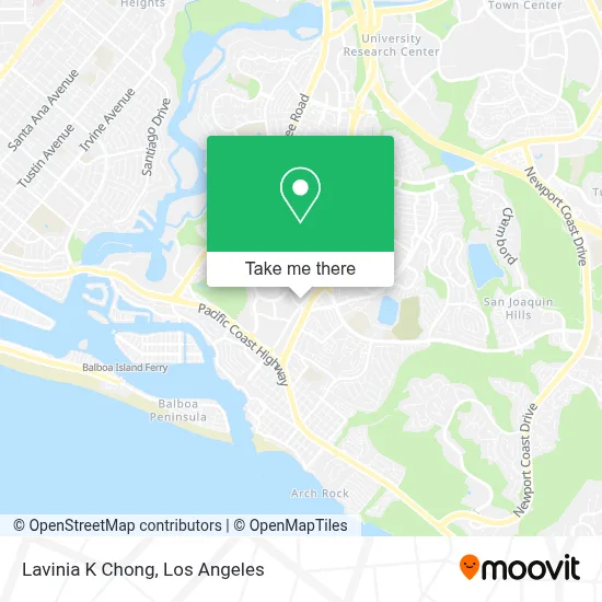 Lavinia K Chong map