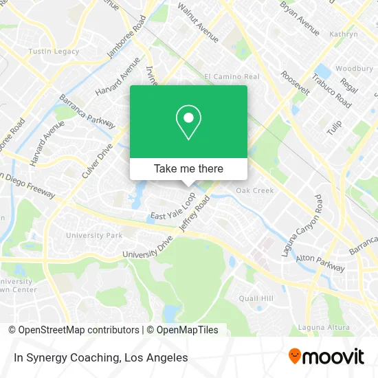 In Synergy Coaching map