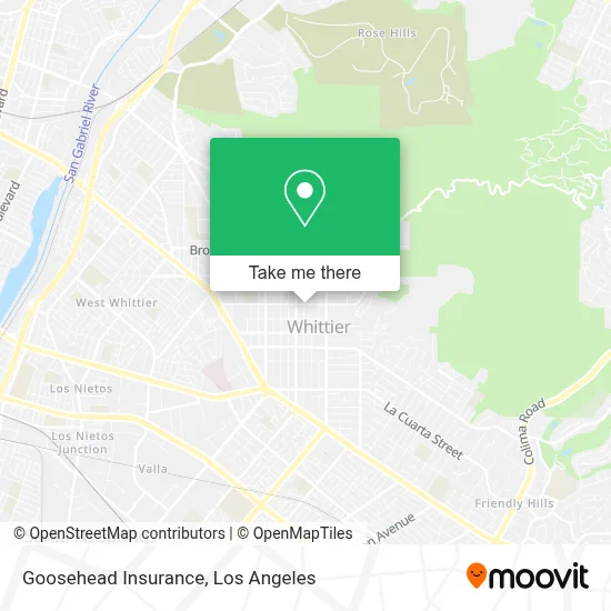 Goosehead Insurance map