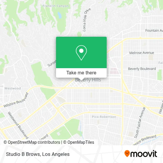 Studio B Brows map