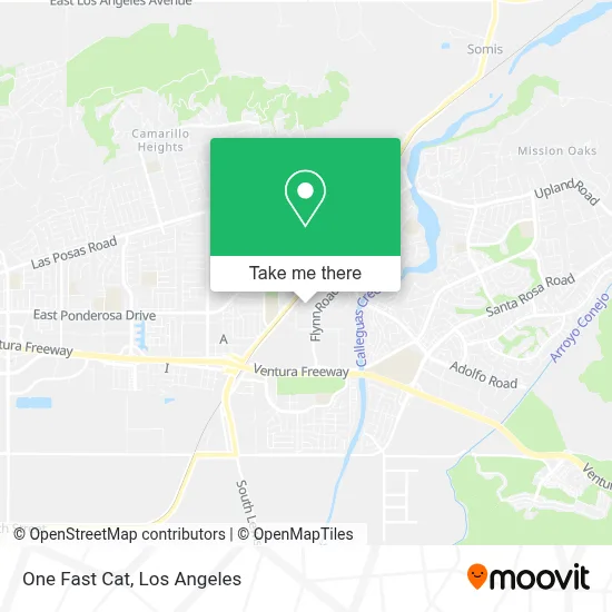 One Fast Cat map