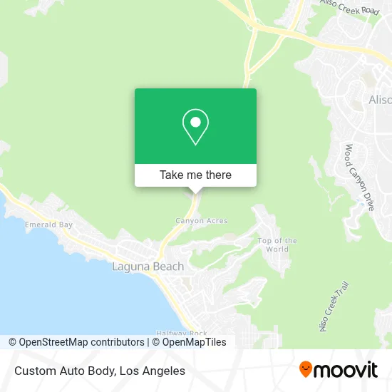 Custom Auto Body map