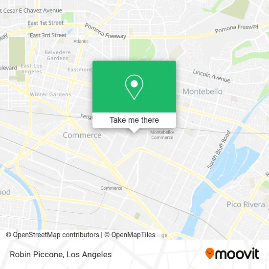 Robin Piccone map