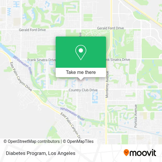 Diabetes Program map