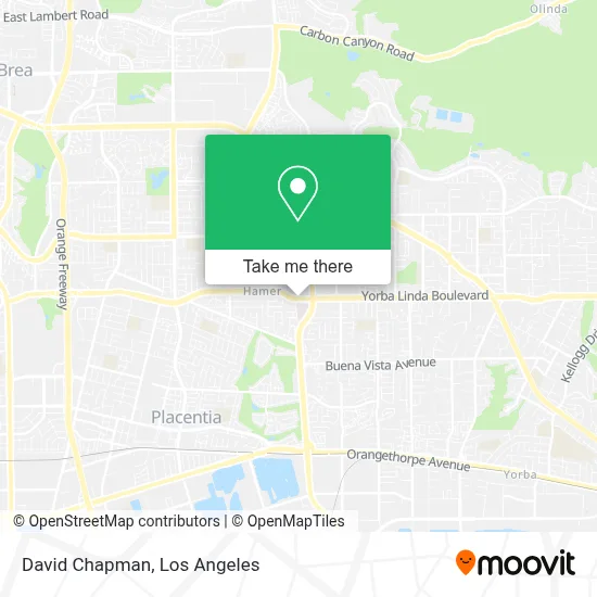David Chapman map