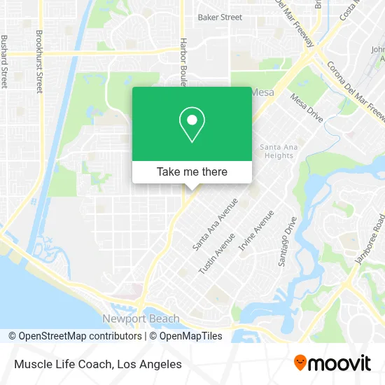 Muscle Life Coach map