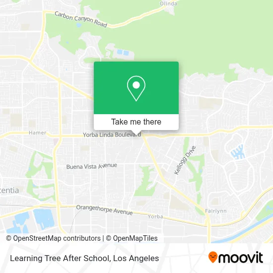Learning Tree After School map