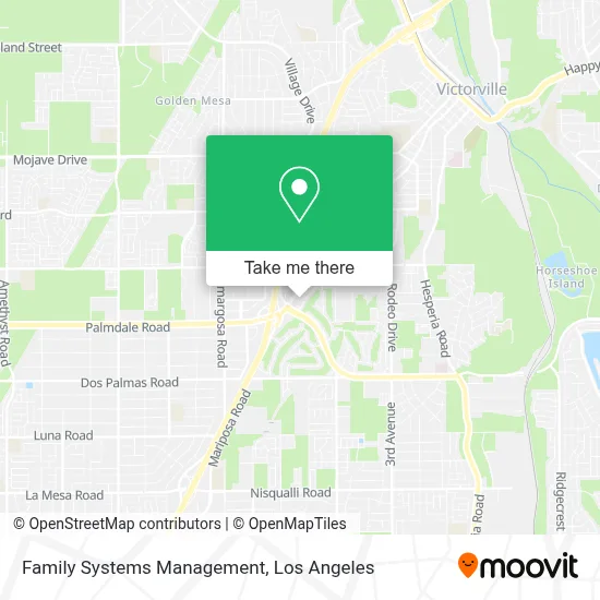 Family Systems Management map