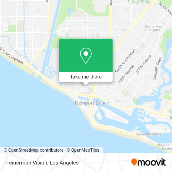 Feinerman Vision map