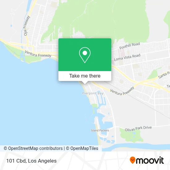 101 Cbd map