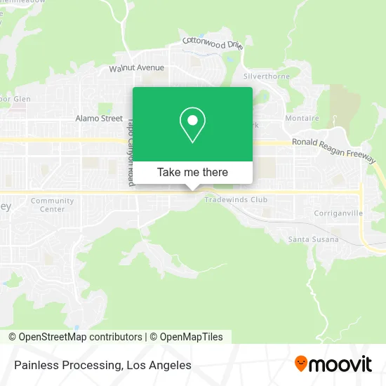 Painless Processing map