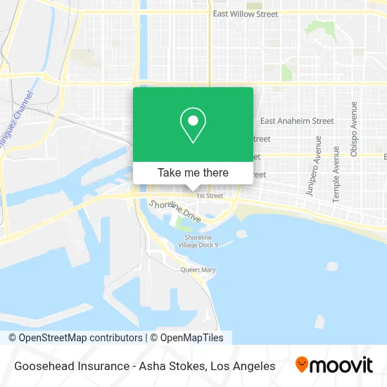 Goosehead Insurance - Asha Stokes map