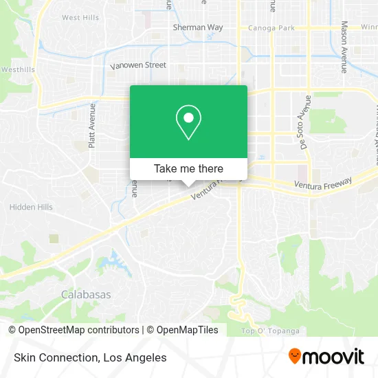 Skin Connection map